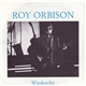 Roy Orbison - Windsurfer